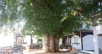 Elm Tree winziges aber einzigartiges Anwesen in Pantokratoras Berg :)