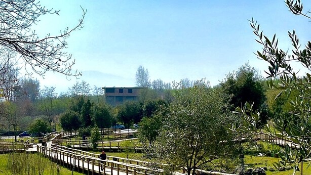 A wooden boardwalk with benches, surrounded by greenery and trees. - GARDEN OF THE VESUVIUS (Terzigno)