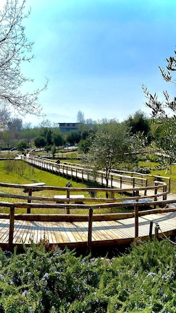 Property grounds. GARDEN OF THE VESUVIUS