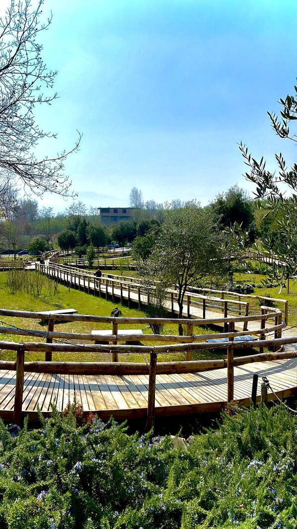 Àrea exterior de l'allotjament