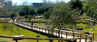 GARDEN OF THE VESUVIUS