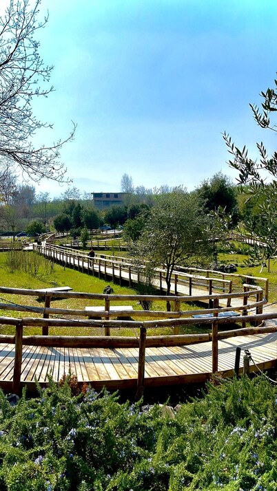 GARDEN OF THE VESUVIUS