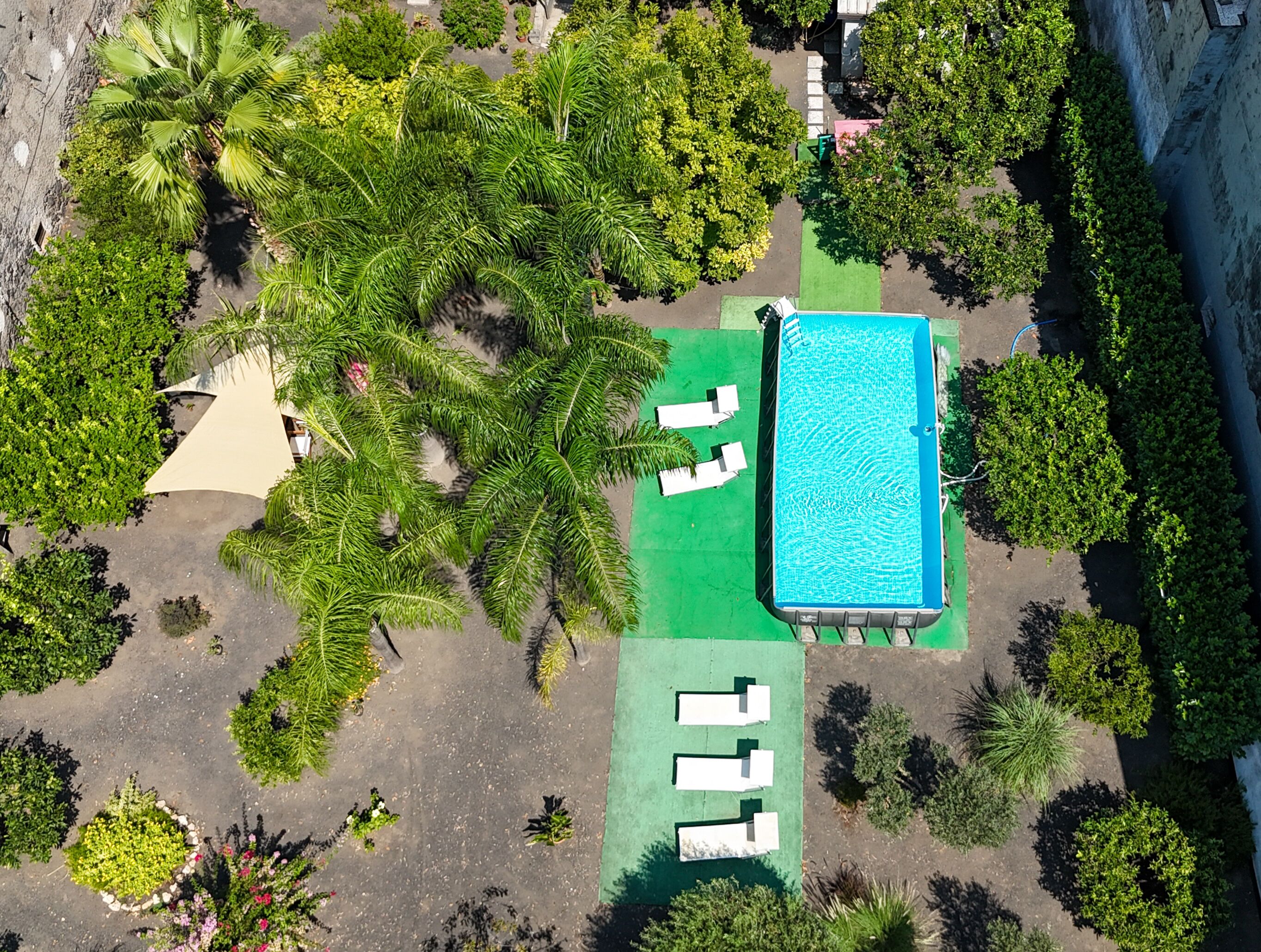 Vista aerea di un resort con piscina, palme e spiaggia.