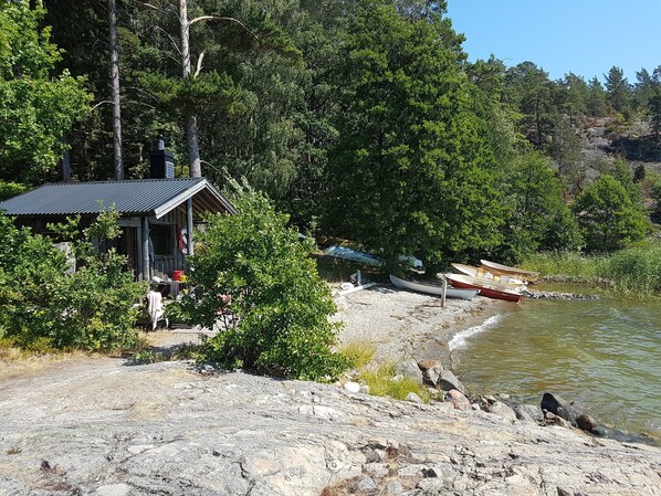 A rustic cabin with a metal roof, surrounded by dense forest and a rocky shoreline.