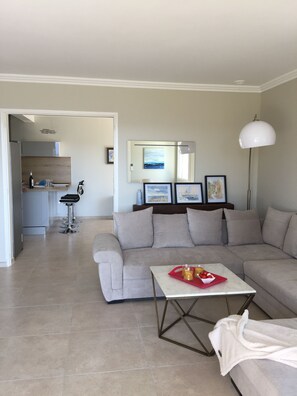 Télévision, table de tennis de table, livres