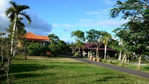 A pathway leading to a building with a red roof, surrounded by lush greenery and palm trees. - Clove House (Hengchun)