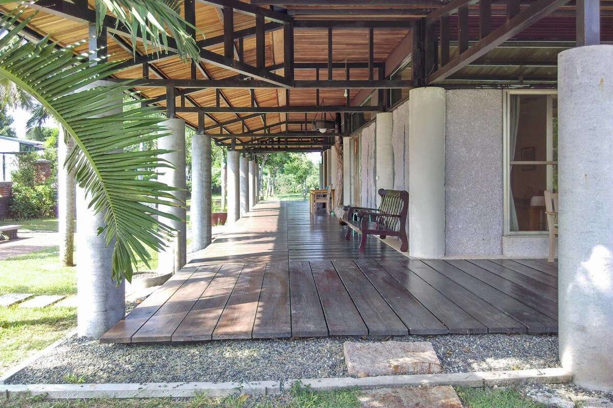 A covered outdoor area with wooden flooring, benches, and a palm tree.