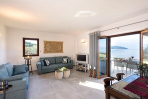 テレビ、暖炉、DVD プレーヤー、ステレオ