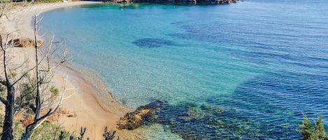 在海灘附近、釣魚