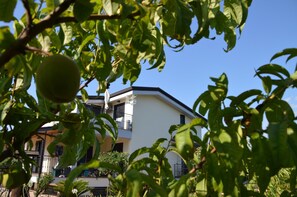 Un bâtiment doté de balcons, avec un pêcher au premier plan.