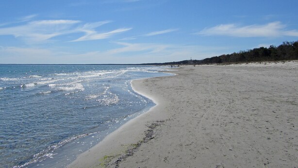 A wide sandy beach with gentle waves, a clear sky, and a forested area in the background. - Reusenhaus South in Breege (Breege)