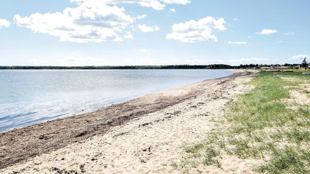Une plage avec un rivage sablonneux et une zone herbeuse.