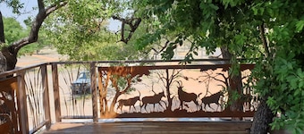 Callies Game Lodge Safaris