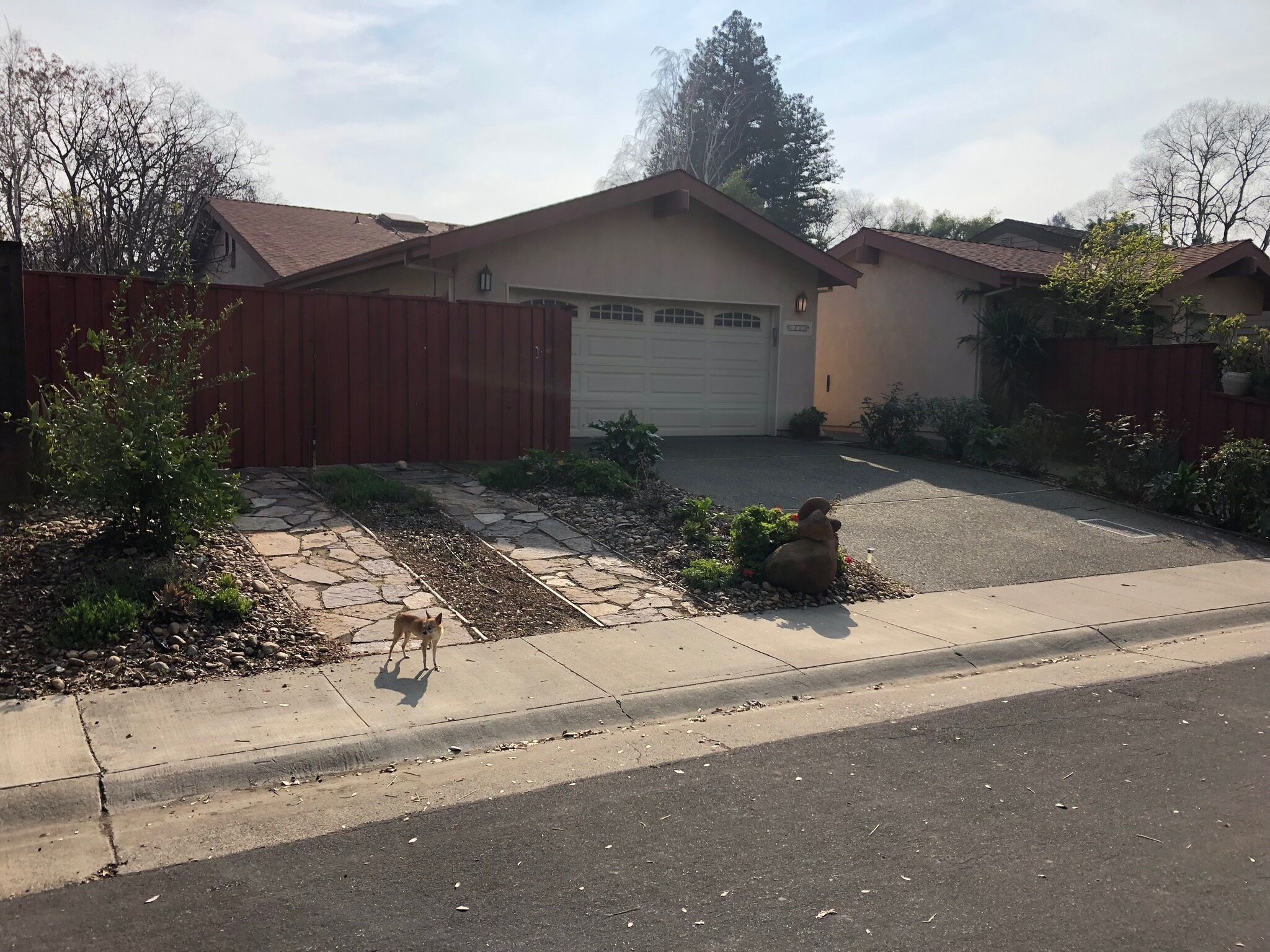 Cozy studio in Davis for you and your pet