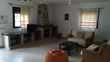 Télévision, cheminée, livres