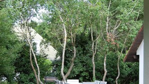 Un espace extérieur aménagé en terrasse, avec une table et des chaises, entouré d’arbres et avec une maison en arrière-plan.