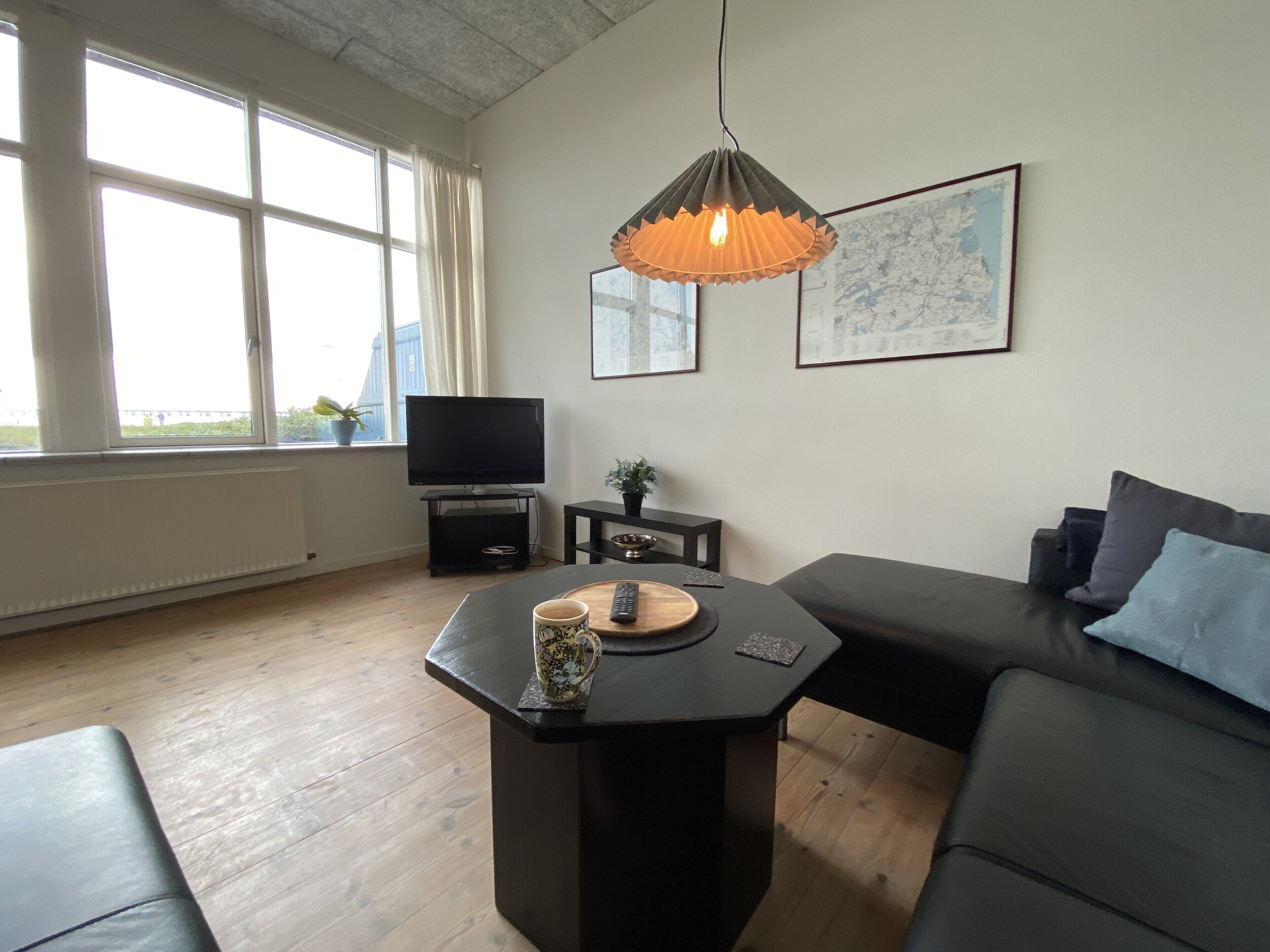 Televisión y libros 