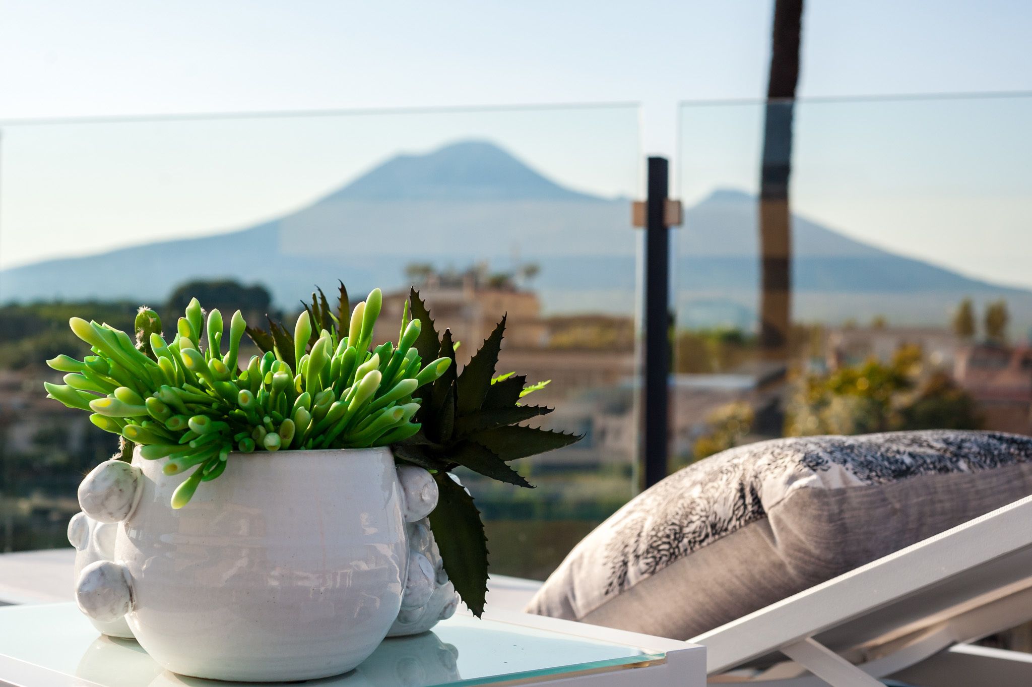 Ein Sukkulent im Blumentopf auf einem Balkon mit Blick auf einen Berg.