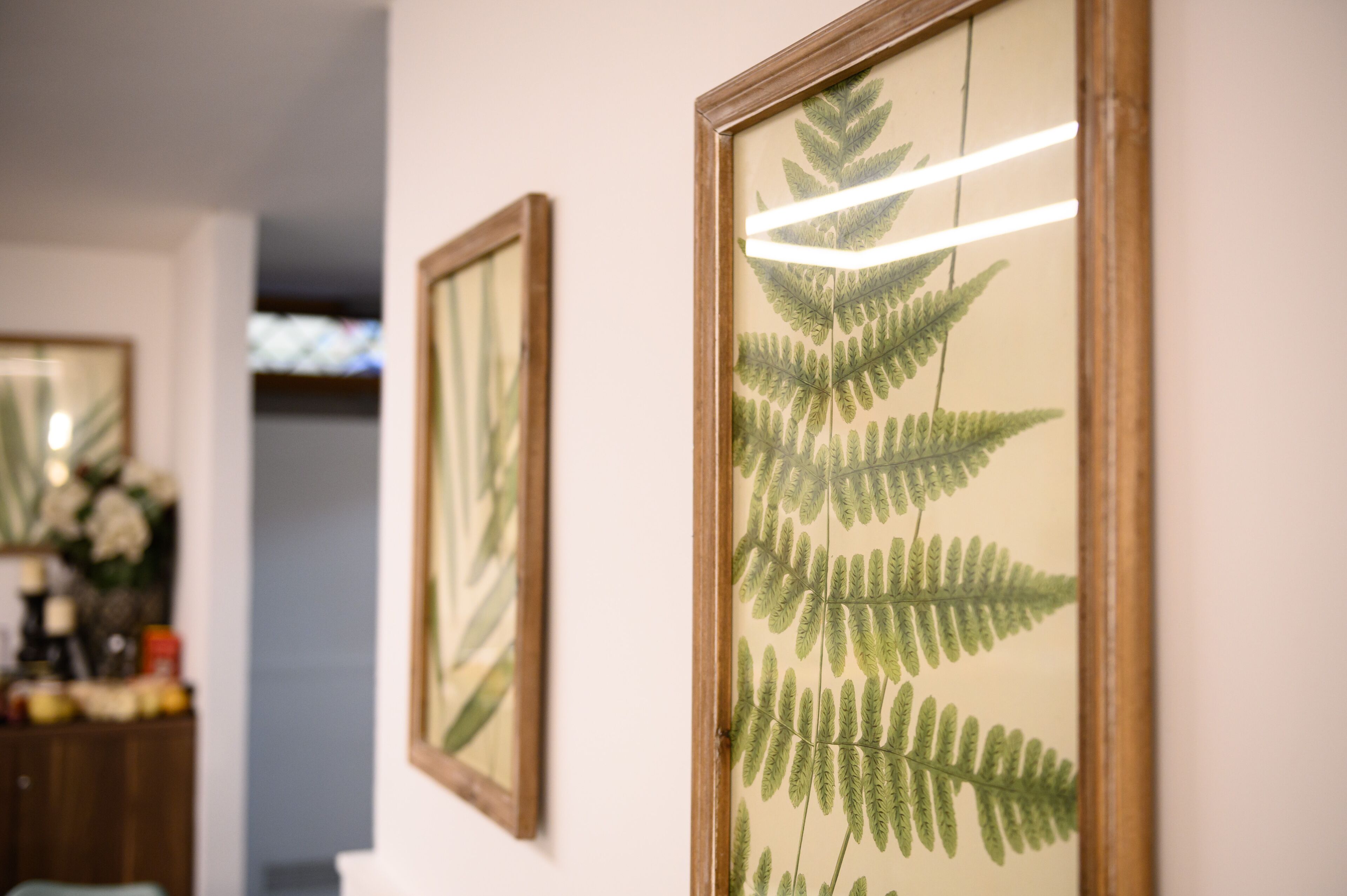 Framed botanical prints on a wall.