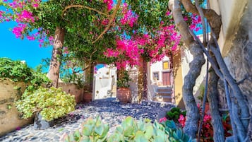 Cortile