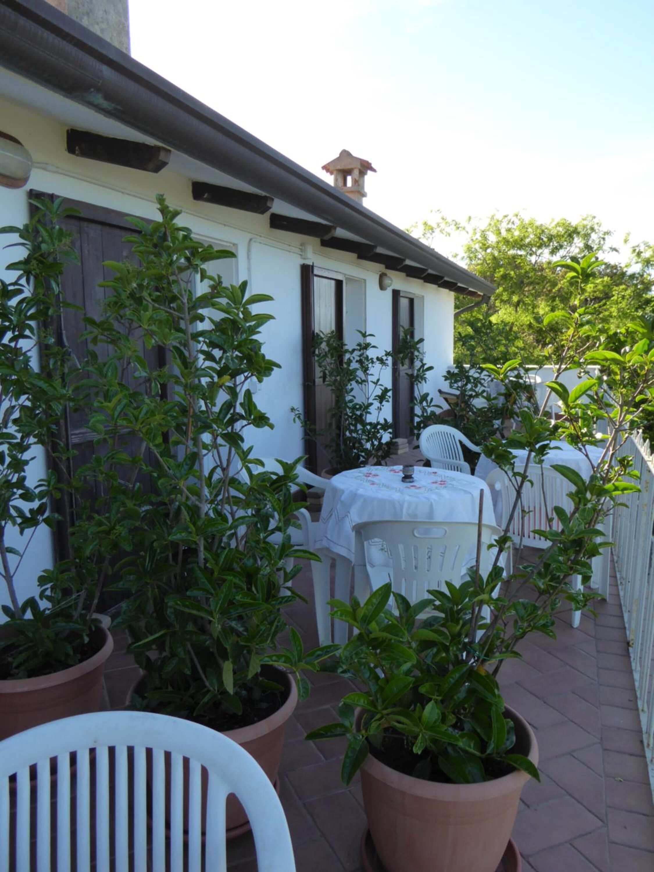 A patio area with potted plants, white plastic chairs, and a table with a white tablecloth.