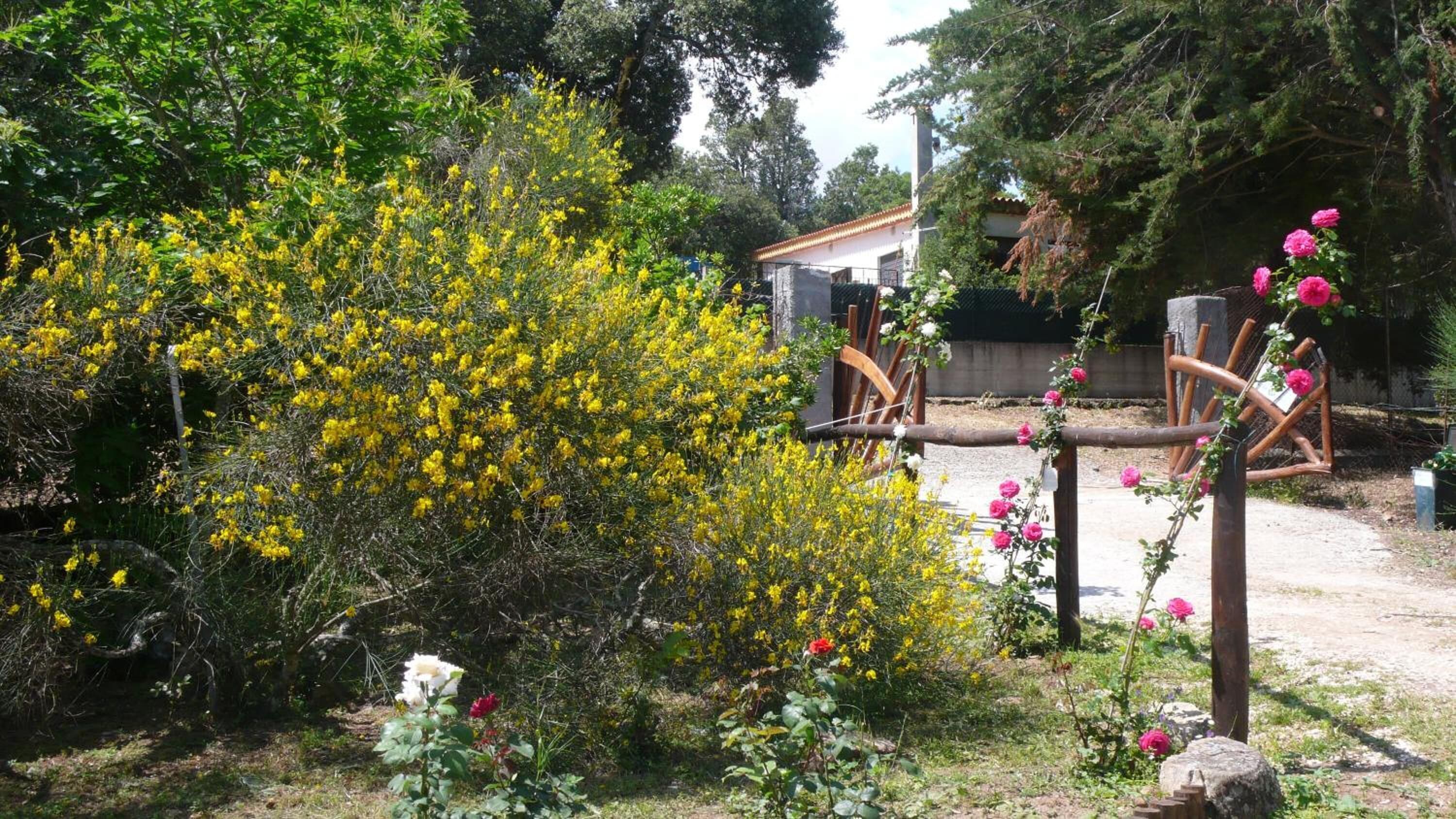Jardines del alojamiento