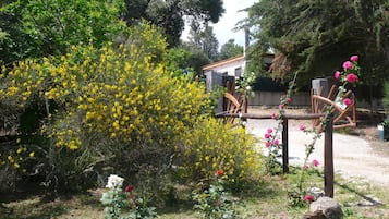 Jardines del alojamiento