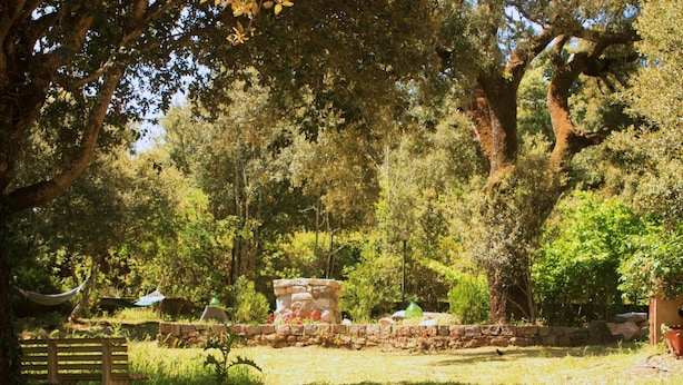 Un jardín con un banco de piedra, una hamaca y un muro de piedra.