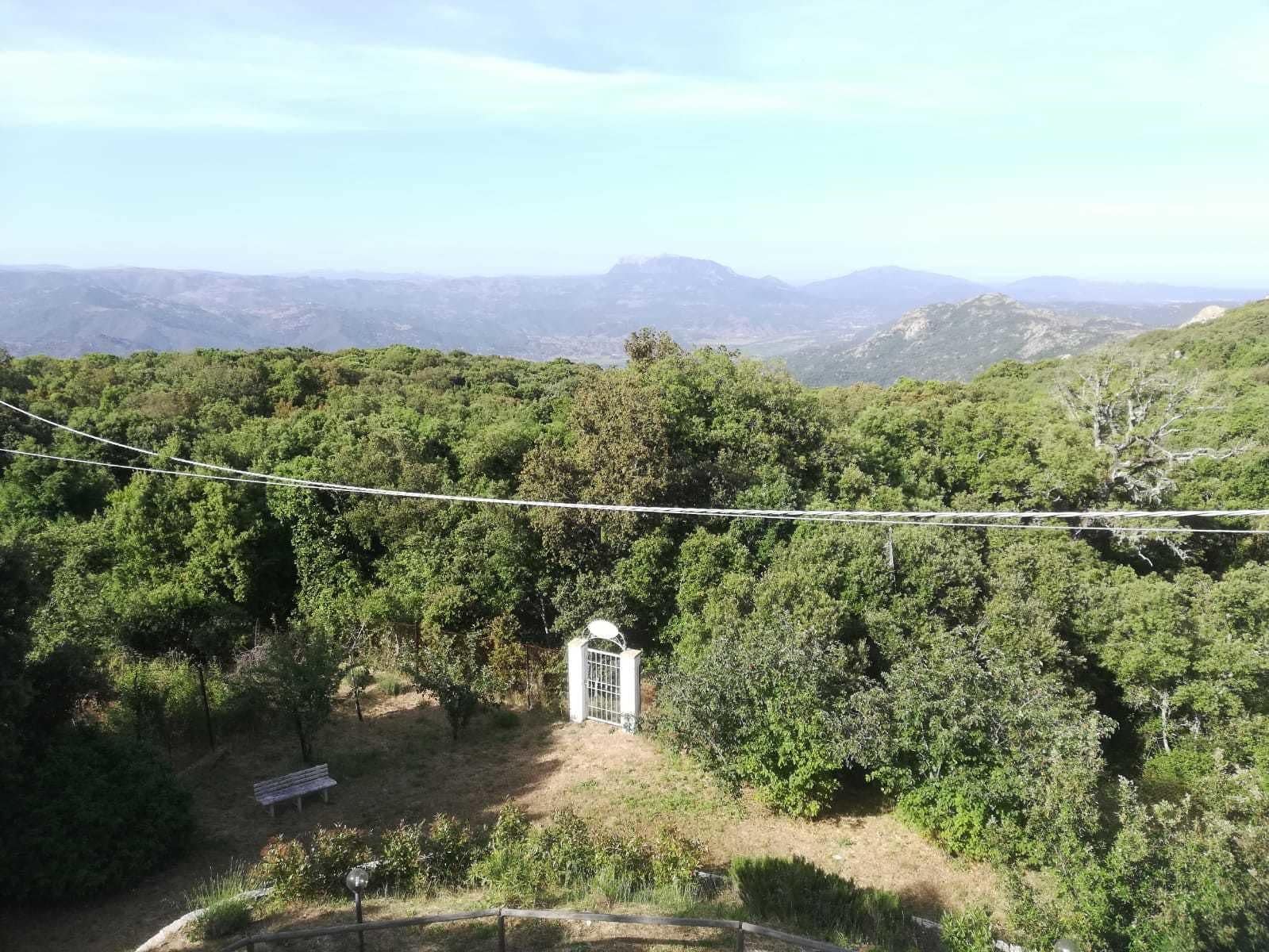 Un paisaje natural con un banco de madera y una pequeña estructura blanca, posiblemente un pabellón, rodeado de árboles verdes frondosos y montañas al fondo.