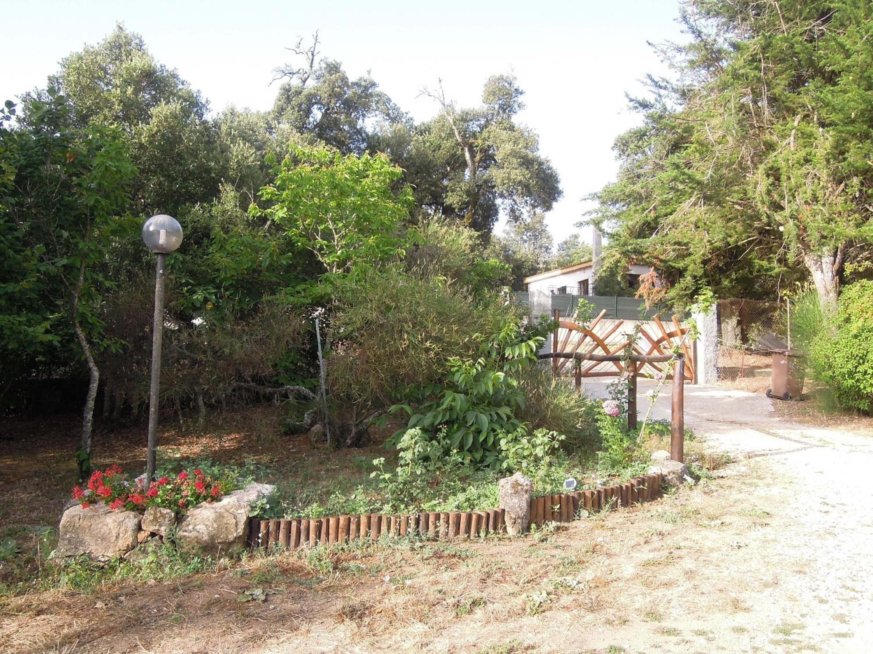 Un jardín con valla de madera, un farol de metal y un camino que lleva a un edificio.