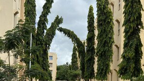 A paved pathway flanked by tall trees and beige buildings with arched windows. - Barizi Holiday Apartments (Mtwapa)