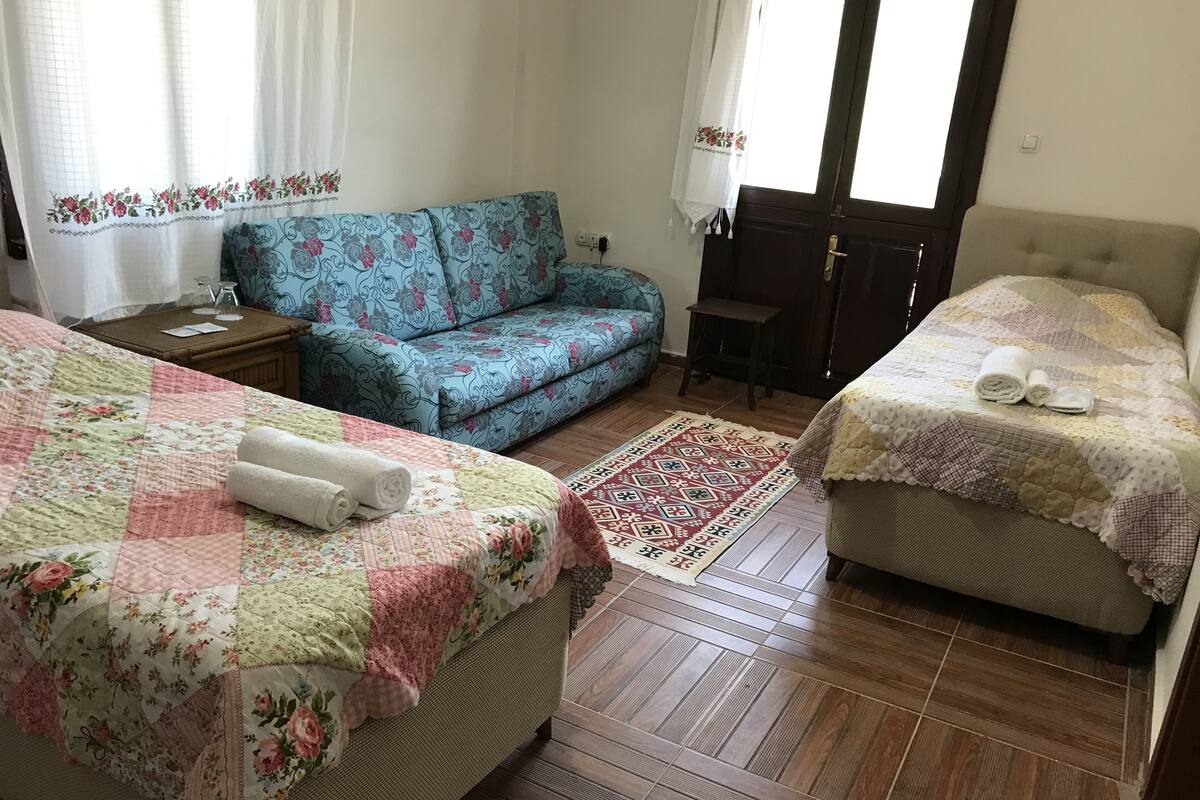 A bedroom with two beds, a sofa, a small table, and a patterned rug.