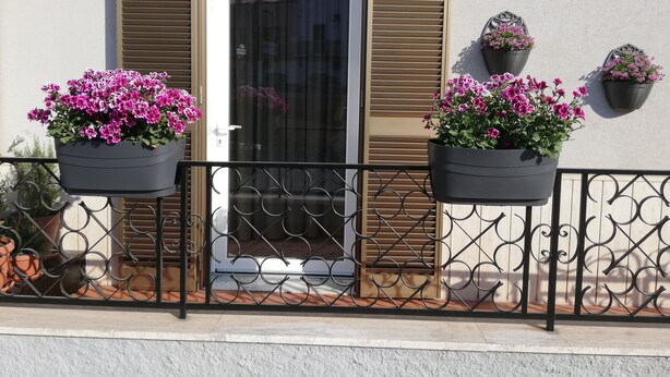 A building with a door, shutters, and a balcony with potted plants. - HOLIDAY HOUSE MANFREDI HOME (Polignano a Mare)
