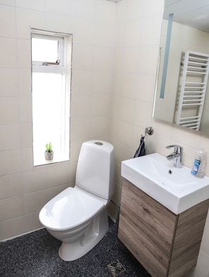 A bathroom with a toilet, sink, mirror, and a small window with a plant. - Lava house (Vestmannaeyjar)