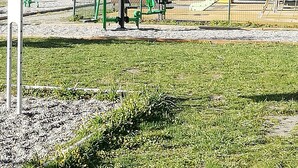 Un’area giochi con attrezzature verdi per l’esercizio fisico, uno scivolo e un recinto. Sullo sfondo, si vedono case e una catena montuosa.