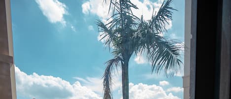 Lägenhet Deluxe - utsikt mot poolen | Eget pentry | Stort kylskåp, mikrovågsugn, ugn och spishäll