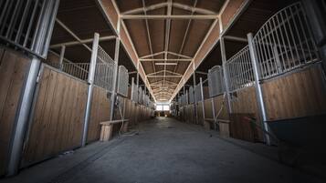 Horse riding