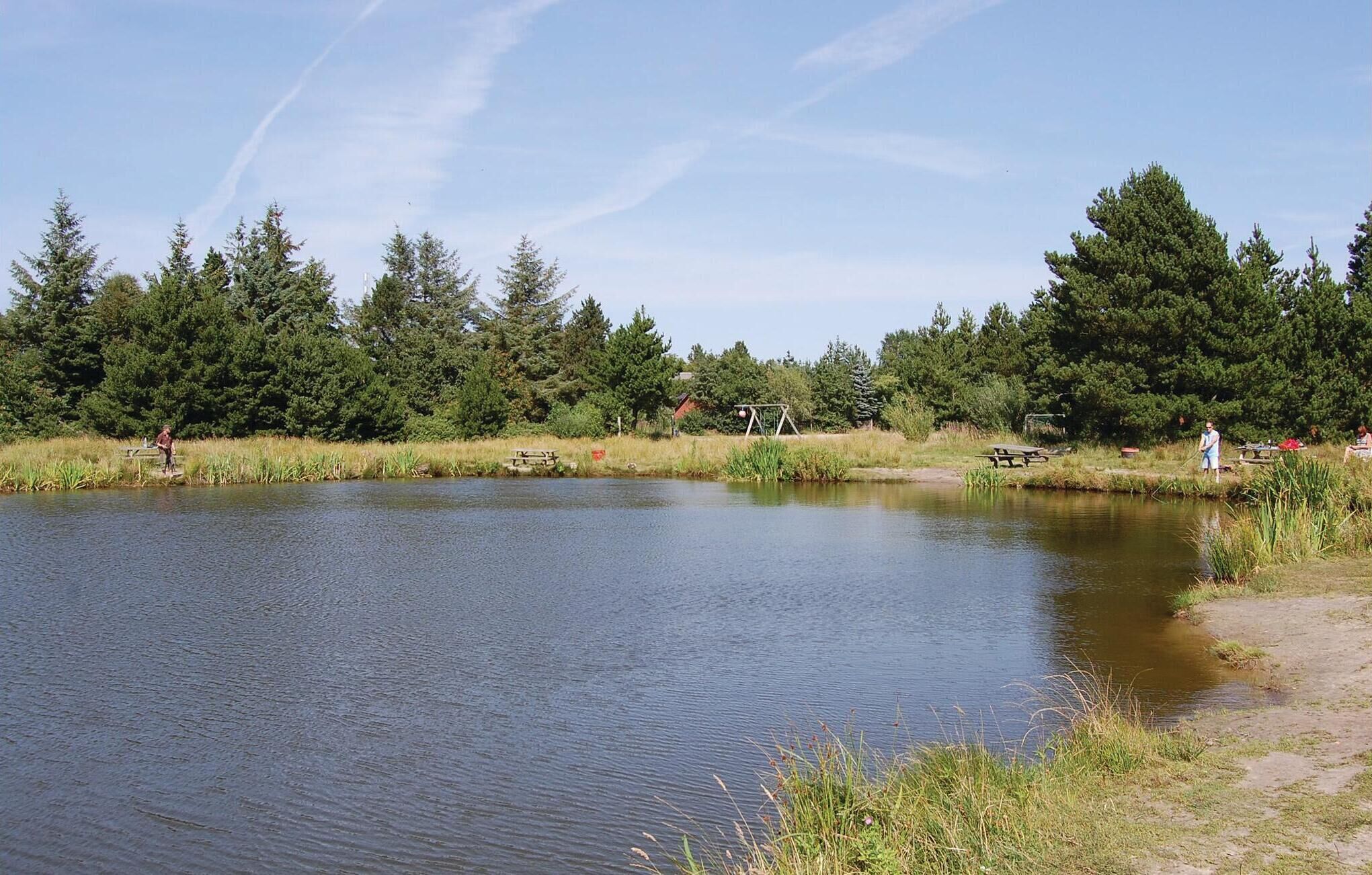 Un entorno tranquilo junto al lago con mesas de picnic y un columpio, rodeado de árboles densos.
