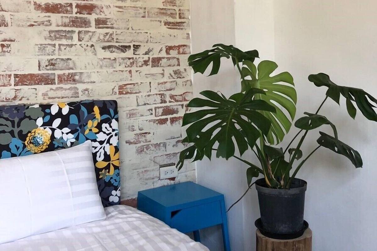 Un dormitorio con pared de ladrillo, una cama con ropa de cama a rayas, una mesita de noche azul y una planta verde grande.