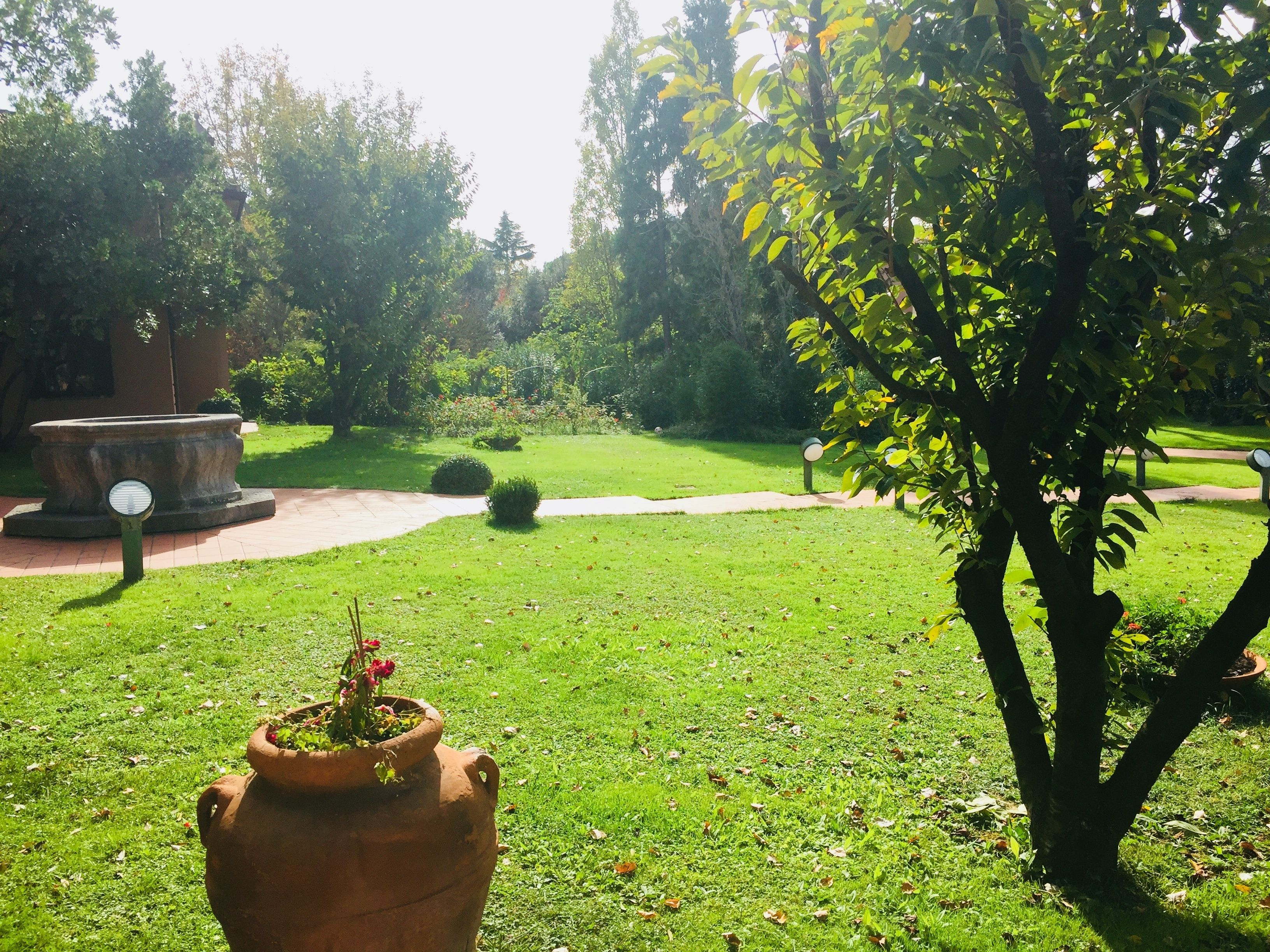 Photo - Opera Deluxe