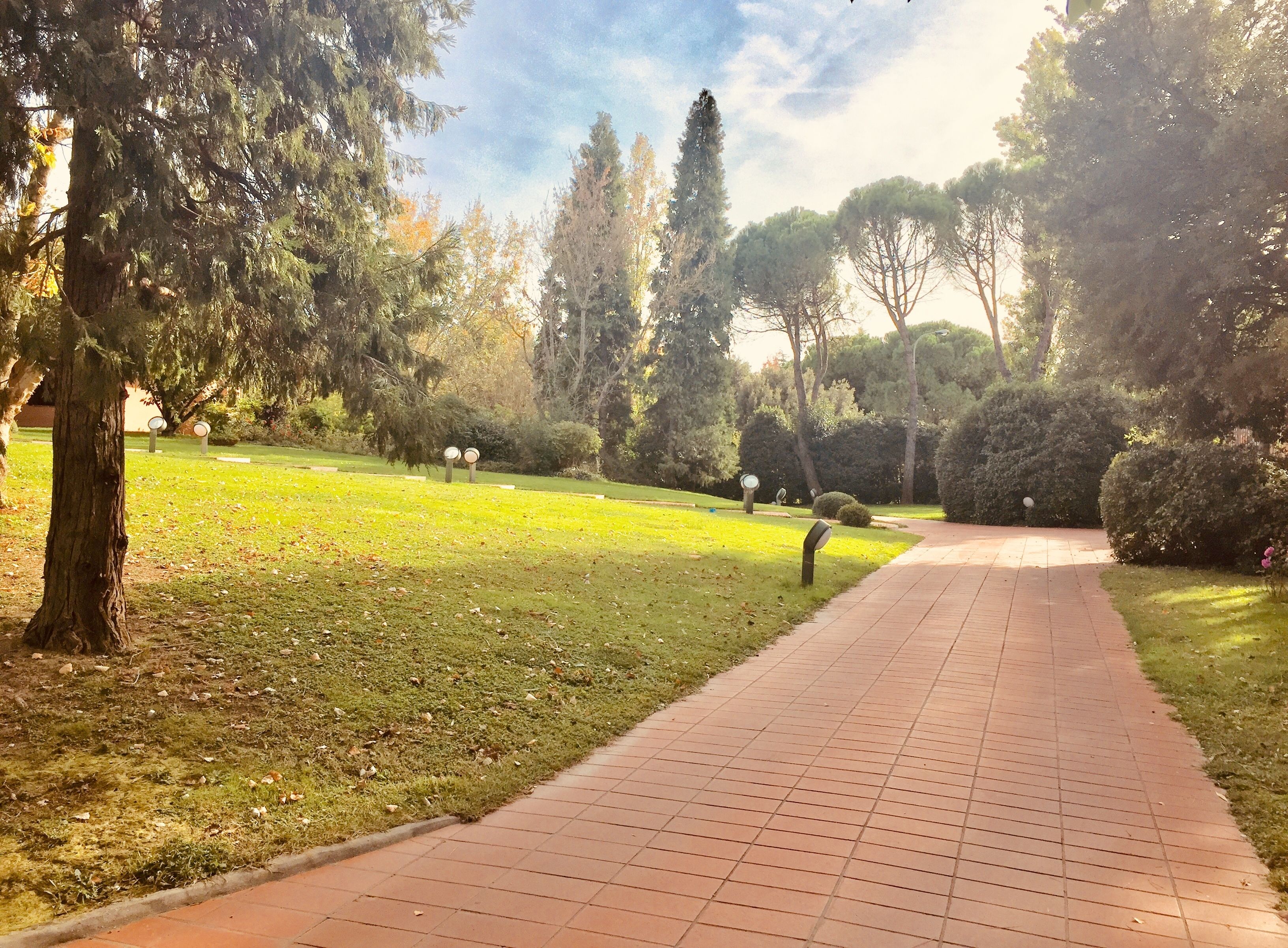 Photo - Opera Deluxe