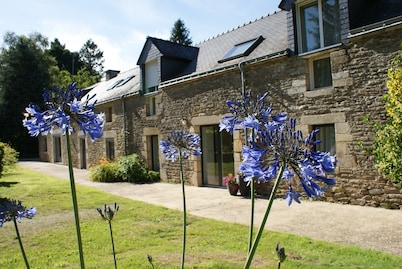 Aux Agapanthes