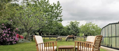 A garden with two wooden chairs and a table, a greenhouse, and horses in the background.