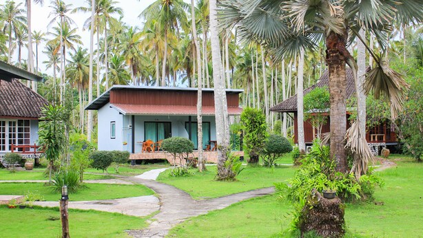 A bungalow with a tiled roof, surrounded by lush greenery and palm trees.