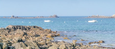 Playa en los alrededores y pesca