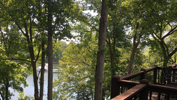 Una terraza de madera con vista a un lago y árboles al fondo.