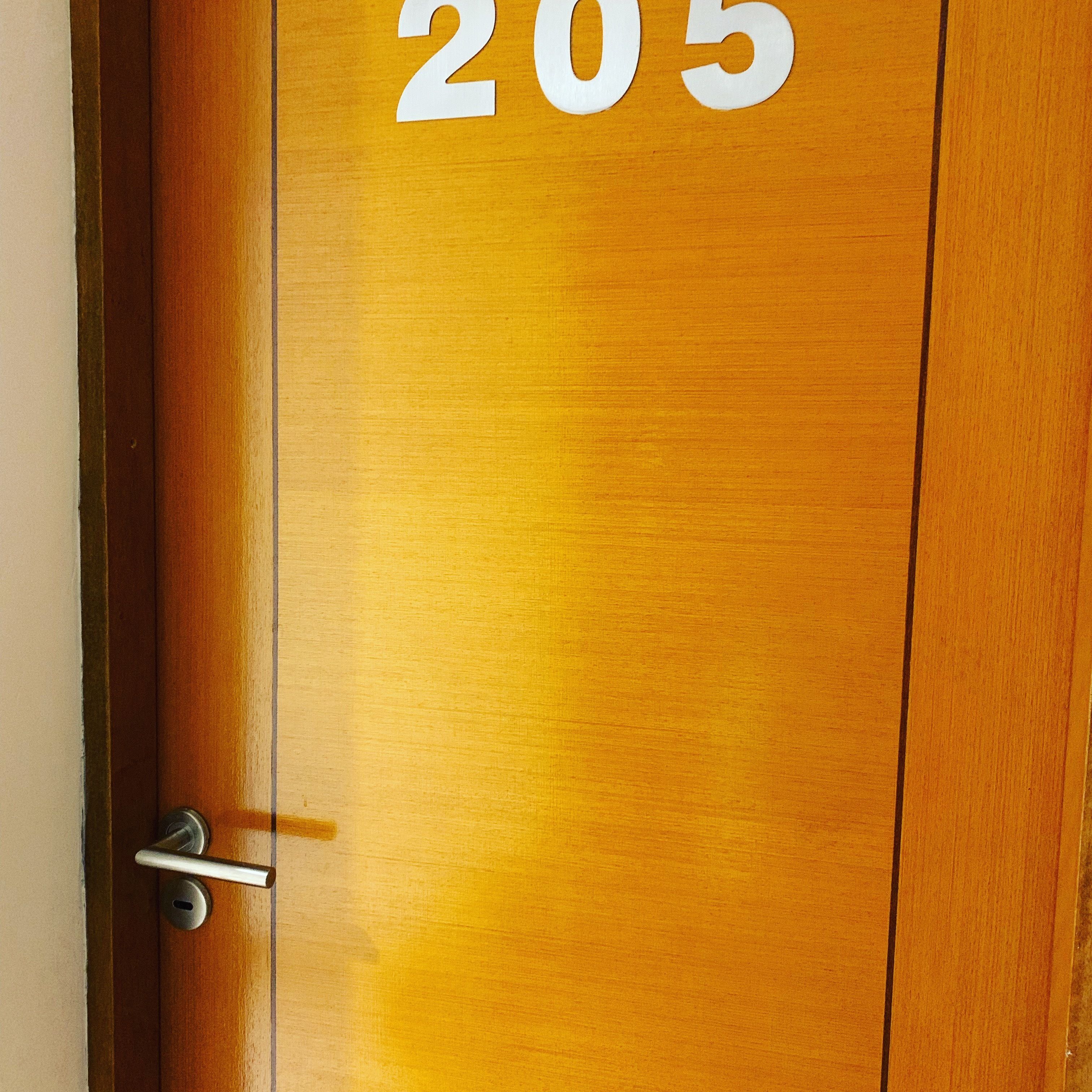 Uma porta de madeira com o número 205.