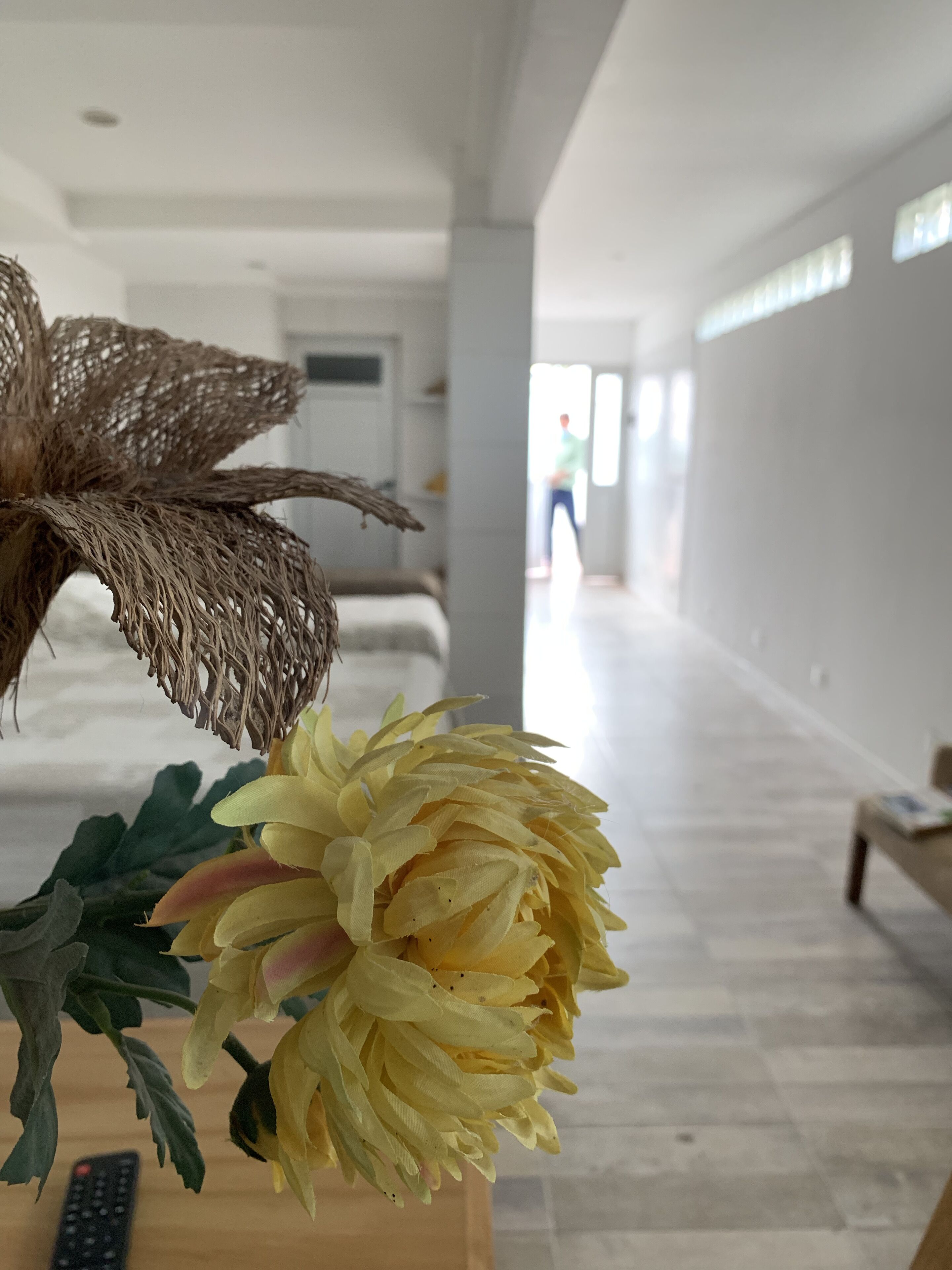 A modern interior with a bed, a remote control, and a decorative plant.