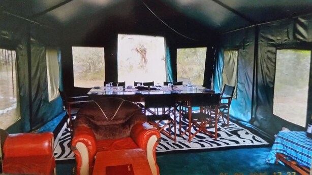 A tent with a dining table set for four, surrounded by chairs, and a zebra-patterned rug on the floor.