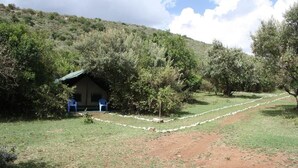 A rural setting with a small building, possibly a guesthouse, surrounded by dense vegetation and a dirt path.